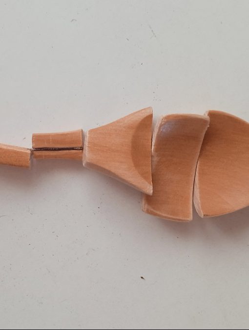 Domnina Vallès | Projectes